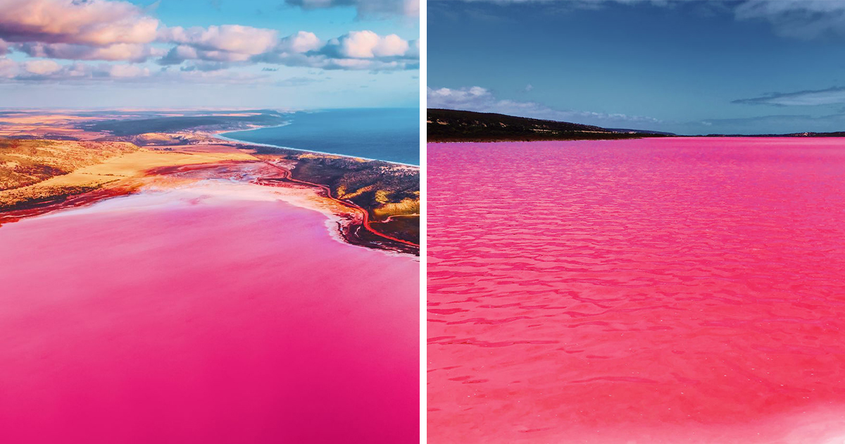 Спиращи дъха: 20 снимки, уловили магията на розовата лагуна в Западна Австралия