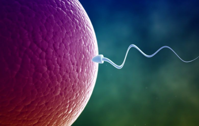 Нов противозачатъчен гел за мъже издържа до 2 години и е 100% сигурен