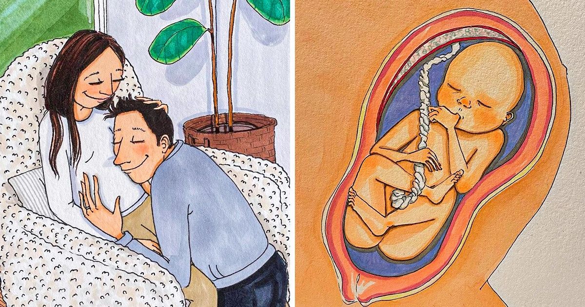 Красиви емоции: 15 илюстрации за вълнуващото пътешествие на бременността