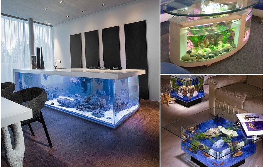 10 вдъхновяващи идеи с аквариуми