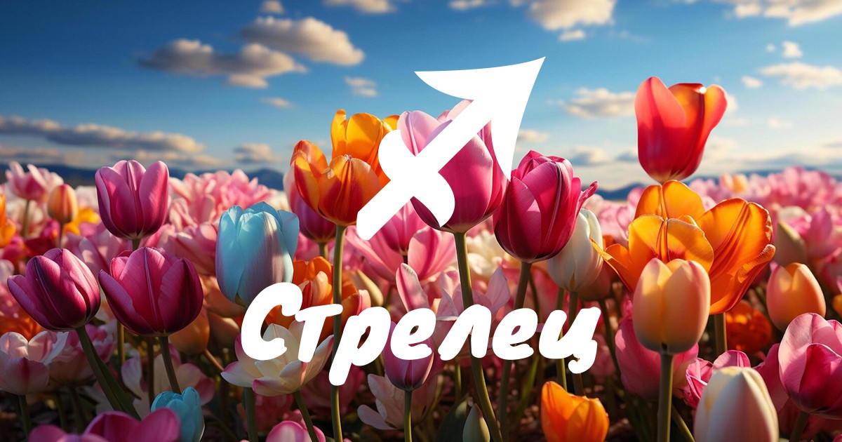 Месечен хороскоп за май за Стрелец