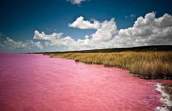 Великолепното розово езеро Ретба в Сенегал