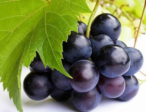 Лечебни свойства на гроздето